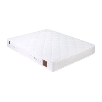 تشک زست نایت دریم