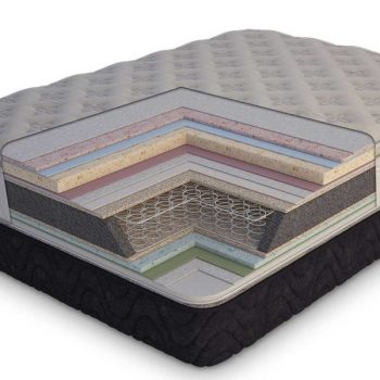 تشک داتیس بانجوپد