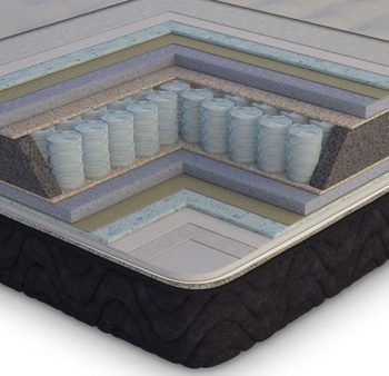 تشک داتیس لیمافورد