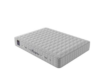 تشک تنیکس ماگما