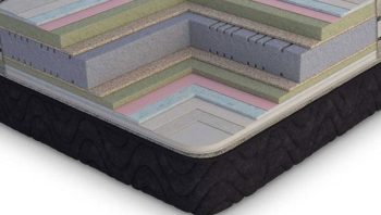 تشک داتیس کاپونا