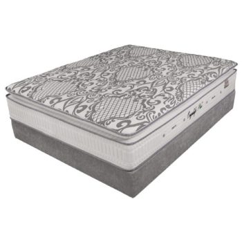 تشک برن ارگالایف پلاس