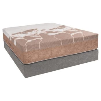 تشک برن اوتلست