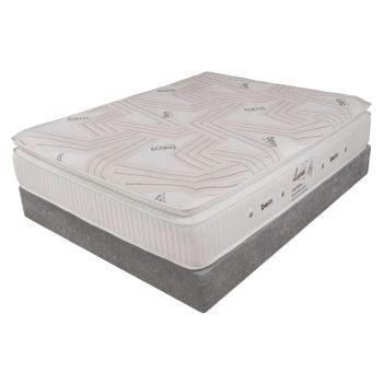 تشک برن الیزابت