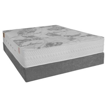 تشک برن برلینا